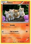 Kittens