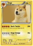 Doge