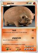 porcher