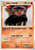 EVIL YORKIE