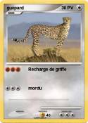 guépard