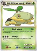 TURTWIG version