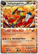 TheFlamingInfer