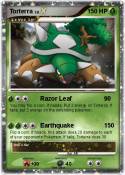 Torterra