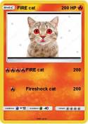 FIRE cat