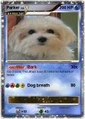 Parker