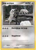 loup arctique