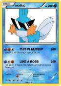 mudkip