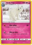 Arctic Fox