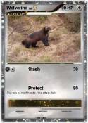 Wolverine