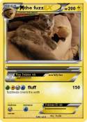 the fuzz