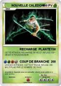 NOUVELLE CALEDO