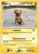 Puppy