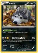 Husky