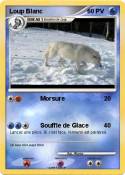 Loup Blanc