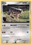 Loup