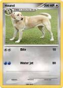 Hound