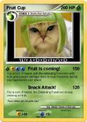 Fruit Cup