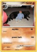 dog