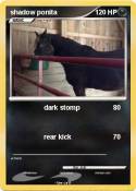 shadow ponita