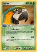 macaw