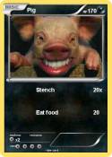 Pig
