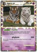 tigers ex