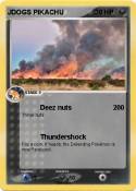 JDOGS PIKACHU