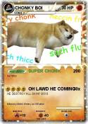 CHONKY BOI