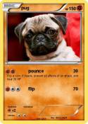 pug