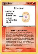 Cytoplasm