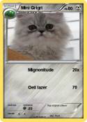 Mini Grigri