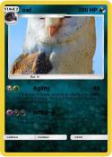 owl