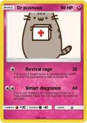Dr pusheen