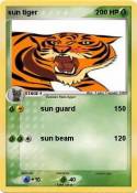 sun tiger