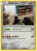 power paw