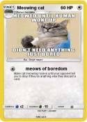 Meowing cat