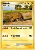 pangolin