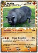 Big-Pig