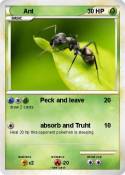 Ant