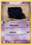 fluffy cat