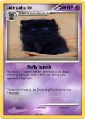 cute cat
