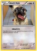 CRAZY PUG
