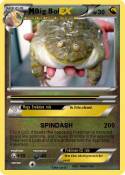 Big Boi