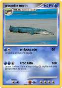 crocodile marin