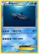Vaquita