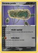Yersinia pestis