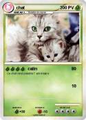 chat
