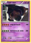 super chien