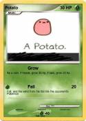 Potato
